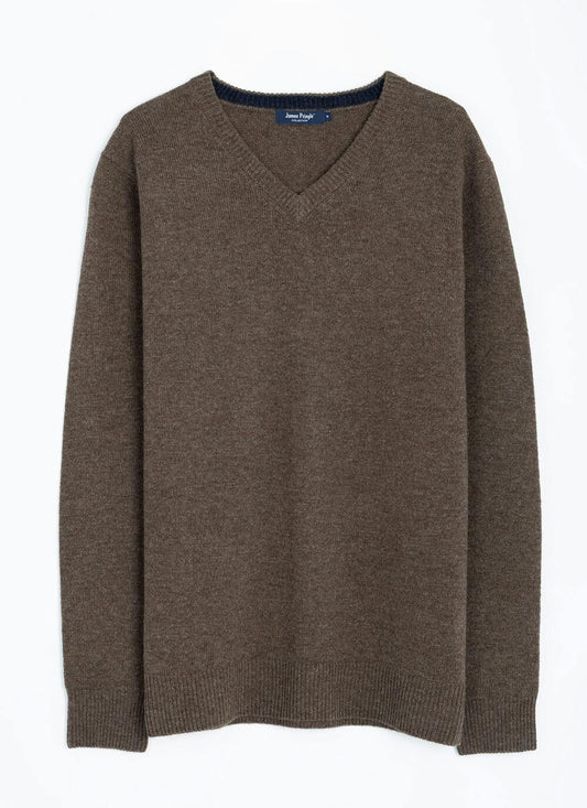  100% Lambswool V Neck Jumper